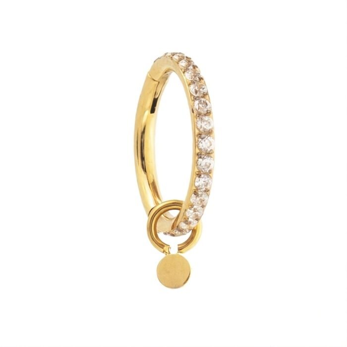 ARGOLA CZ PINGENTE DISCO TIT