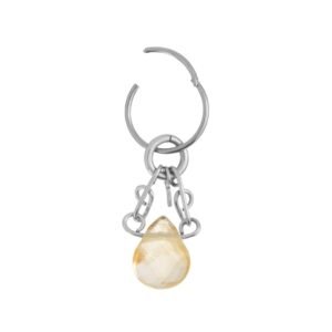 SEGMENTO AÇO PINGENTE CITRINO