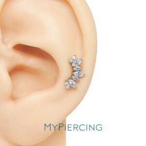 LBT CLUSTER PONTIAGUDA CZ TIT (CX7)