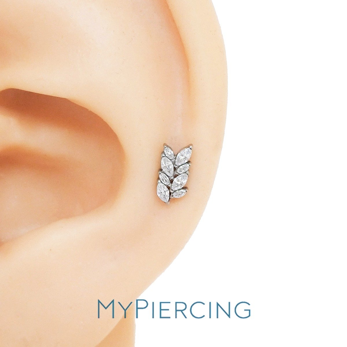 LBT RAMO ARRUDA CZ TIT (CX37) - Imagem 2