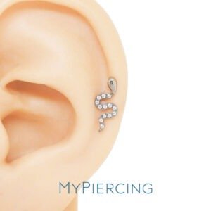 LBT SERPENTE CRAVEJADA TIT (CX37)