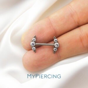 BARBELL MAMILO PIN PUSH CLUSTER INDIANO TIT