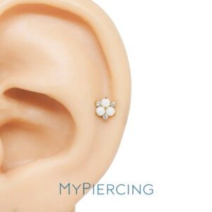 LBT FLOR TRILLION OP TIT (CX38)